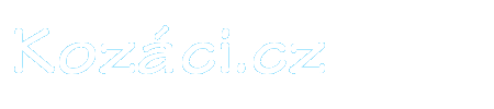 Primary Raster logo